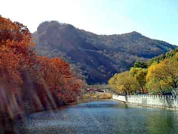 正版澳门天天开彩大全，深圳到长沙物流公司